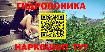 мдпв Мариинск