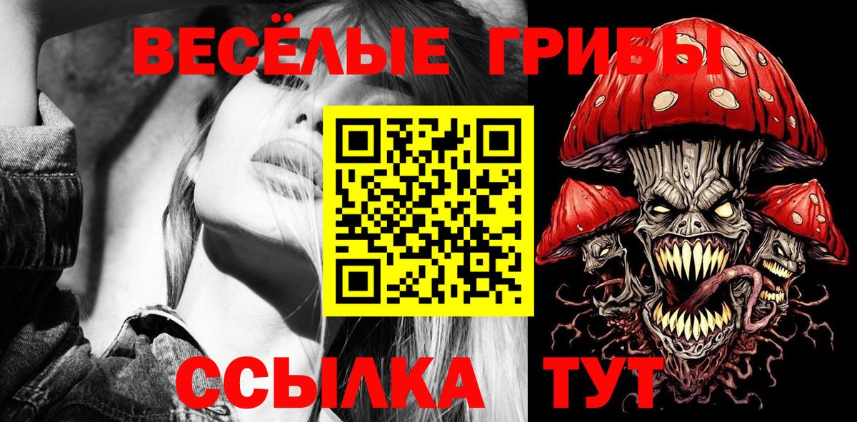Гатчина  Псилоцибиновые грибы GOLDEN TEACHER  Вход с VPN 