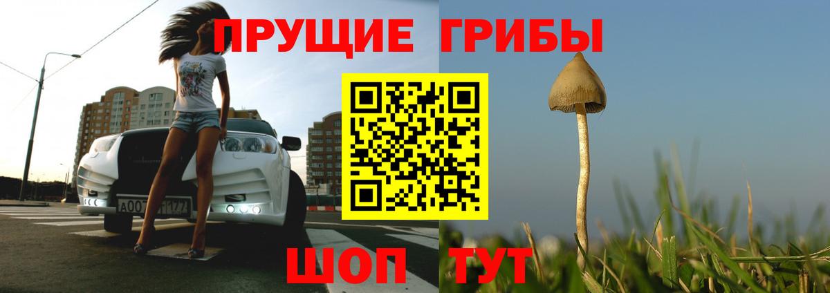 Псилоцибиновые грибы мицелий Гатчина