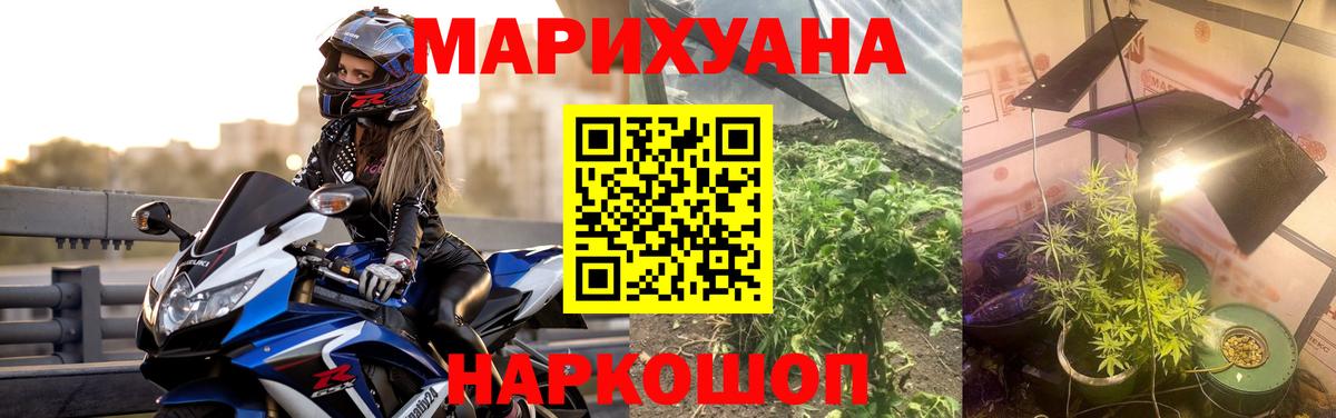 МАРИХУАНА OG Kush Гатчина